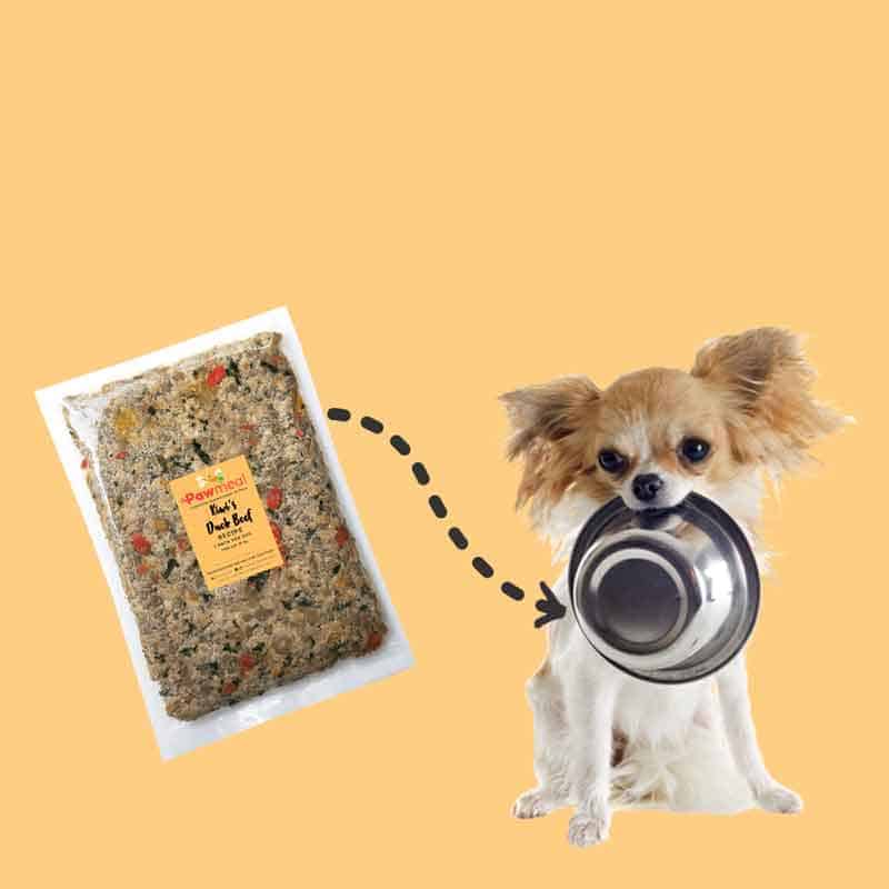 Dog Food Calculator