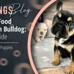 Best French Bulldog Puppy Food